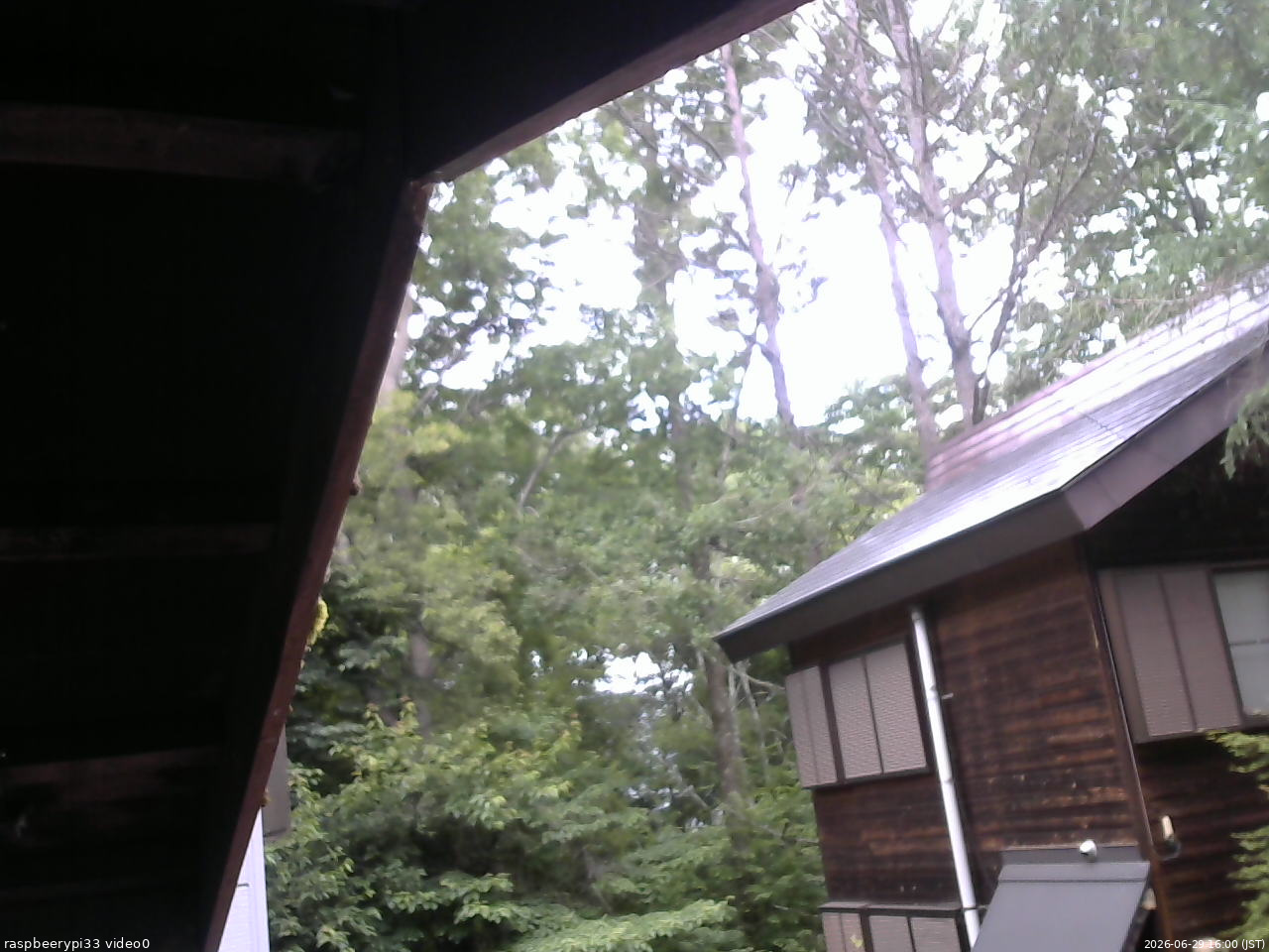 長野県菅平高原 ゆたか山荘 北側 2026/06/29 16:00