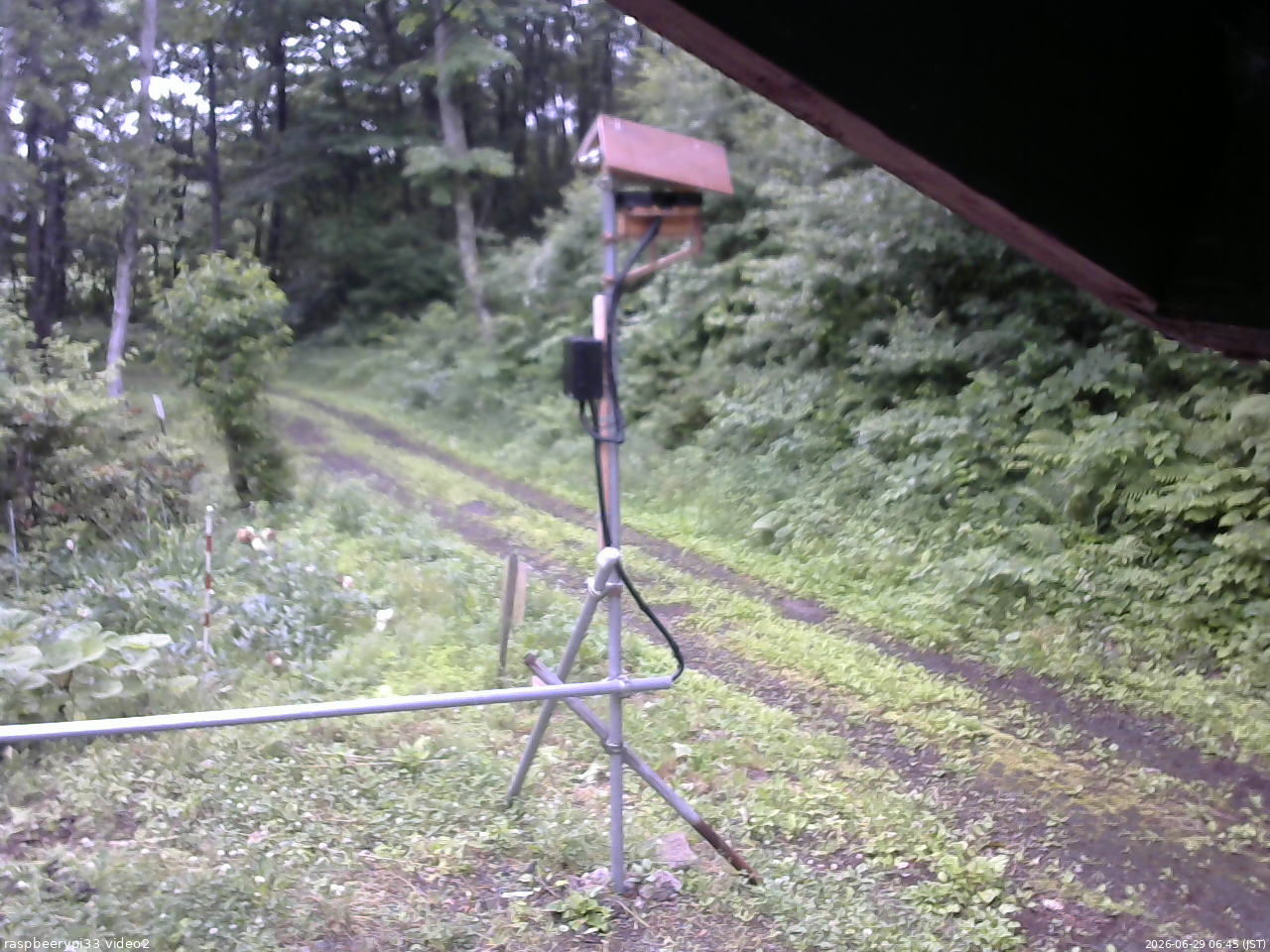 長野県菅平高原 ゆたか山荘 南側 2026/06/29 06:45