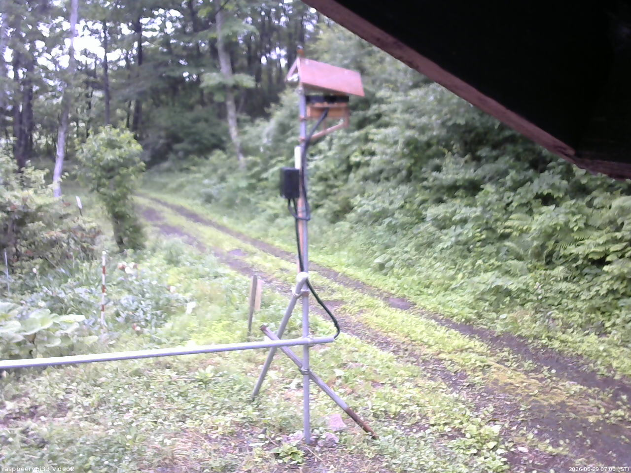 長野県菅平高原 ゆたか山荘 南側 2026/06/29 07:00