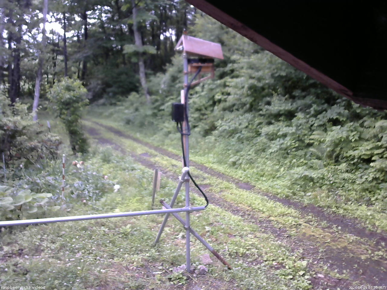 長野県菅平高原 ゆたか山荘 南側 2026/06/29 07:30