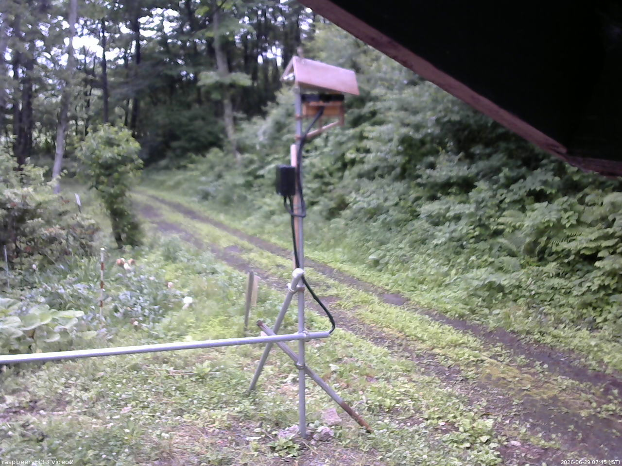 長野県菅平高原 ゆたか山荘 南側 2026/06/29 07:45