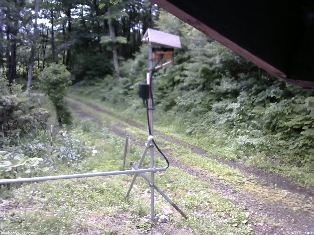 長野県菅平高原 ゆたか山荘 南側 2026/06/29 08:15