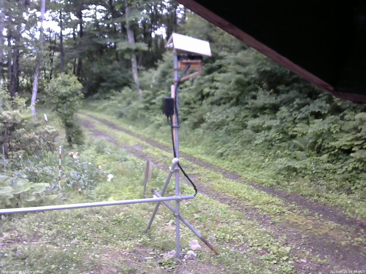 長野県菅平高原 ゆたか山荘 南側 2026/06/29 08:30