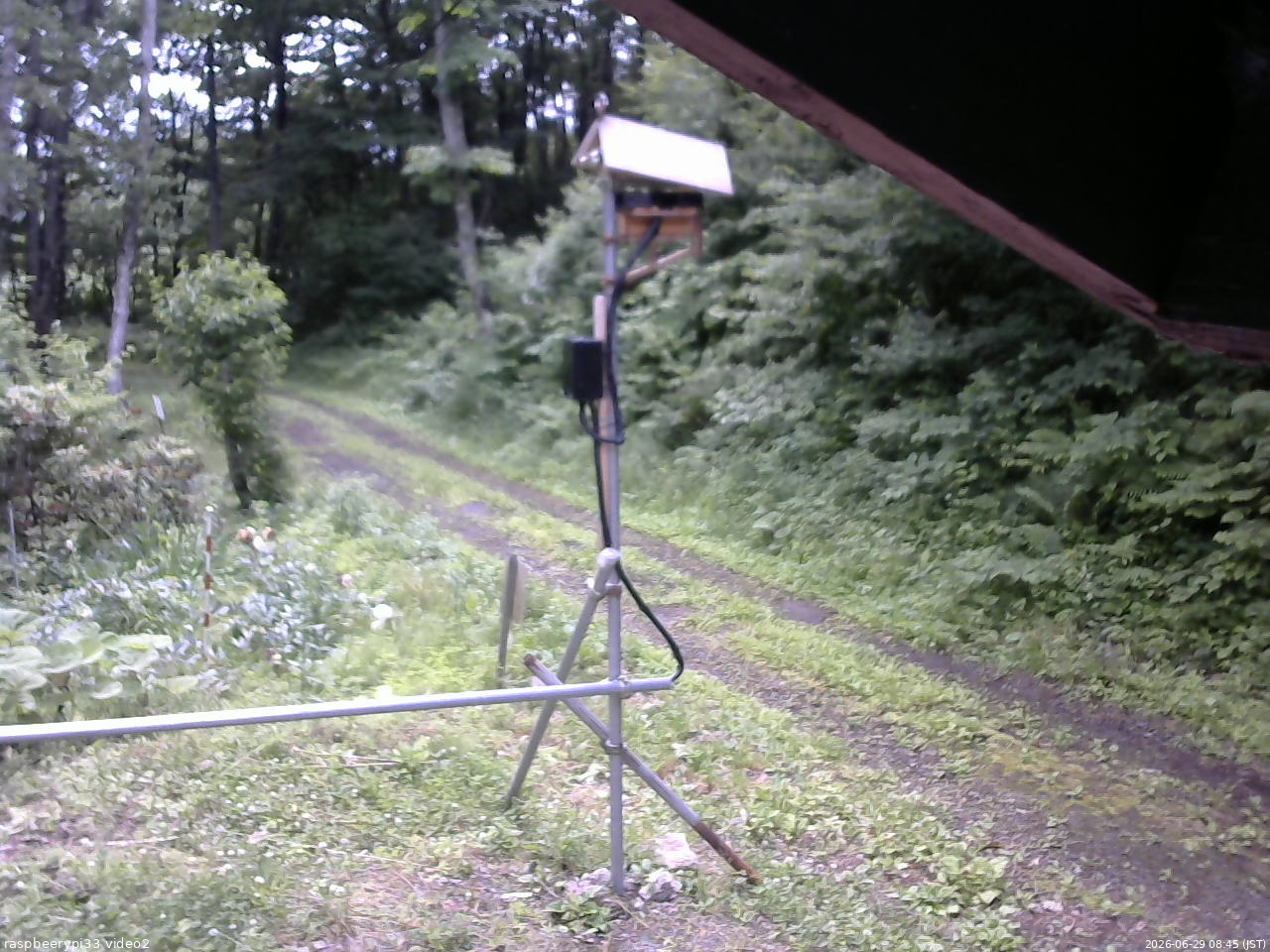 長野県菅平高原 ゆたか山荘 南側 2026/06/29 08:45