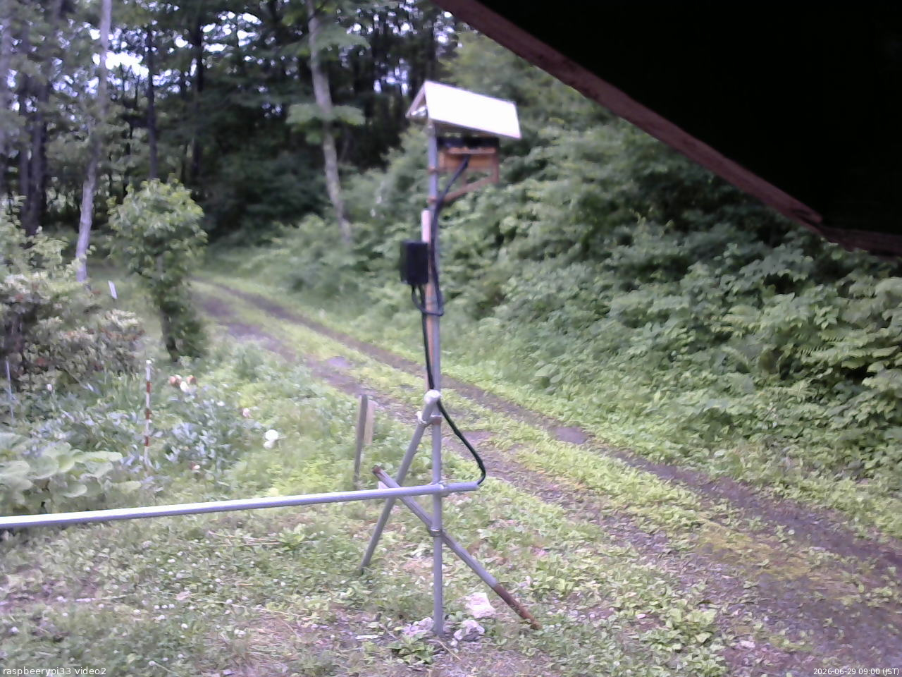 長野県菅平高原 ゆたか山荘 南側 2026/06/29 09:00