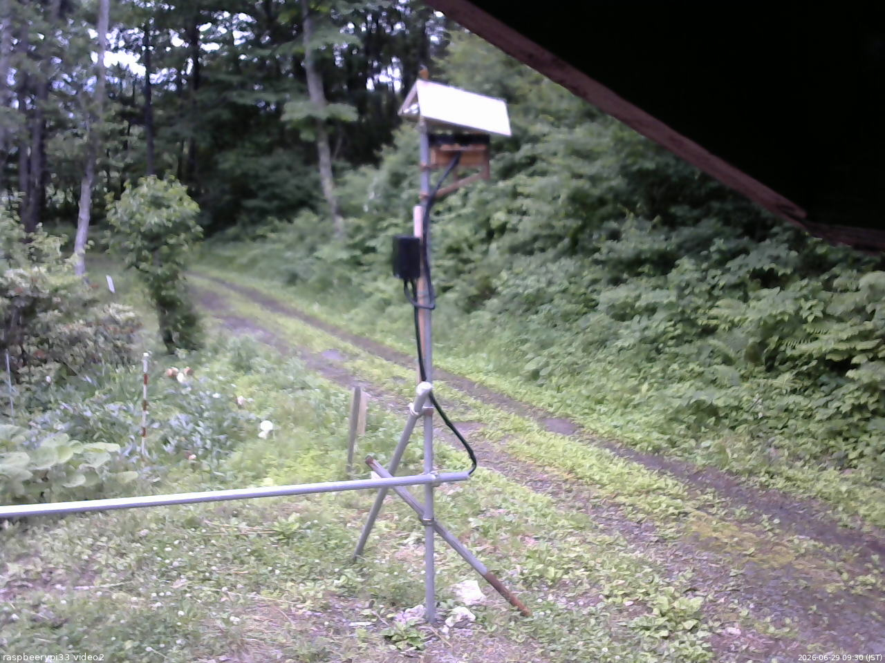 長野県菅平高原 ゆたか山荘 南側 2026/06/29 09:30