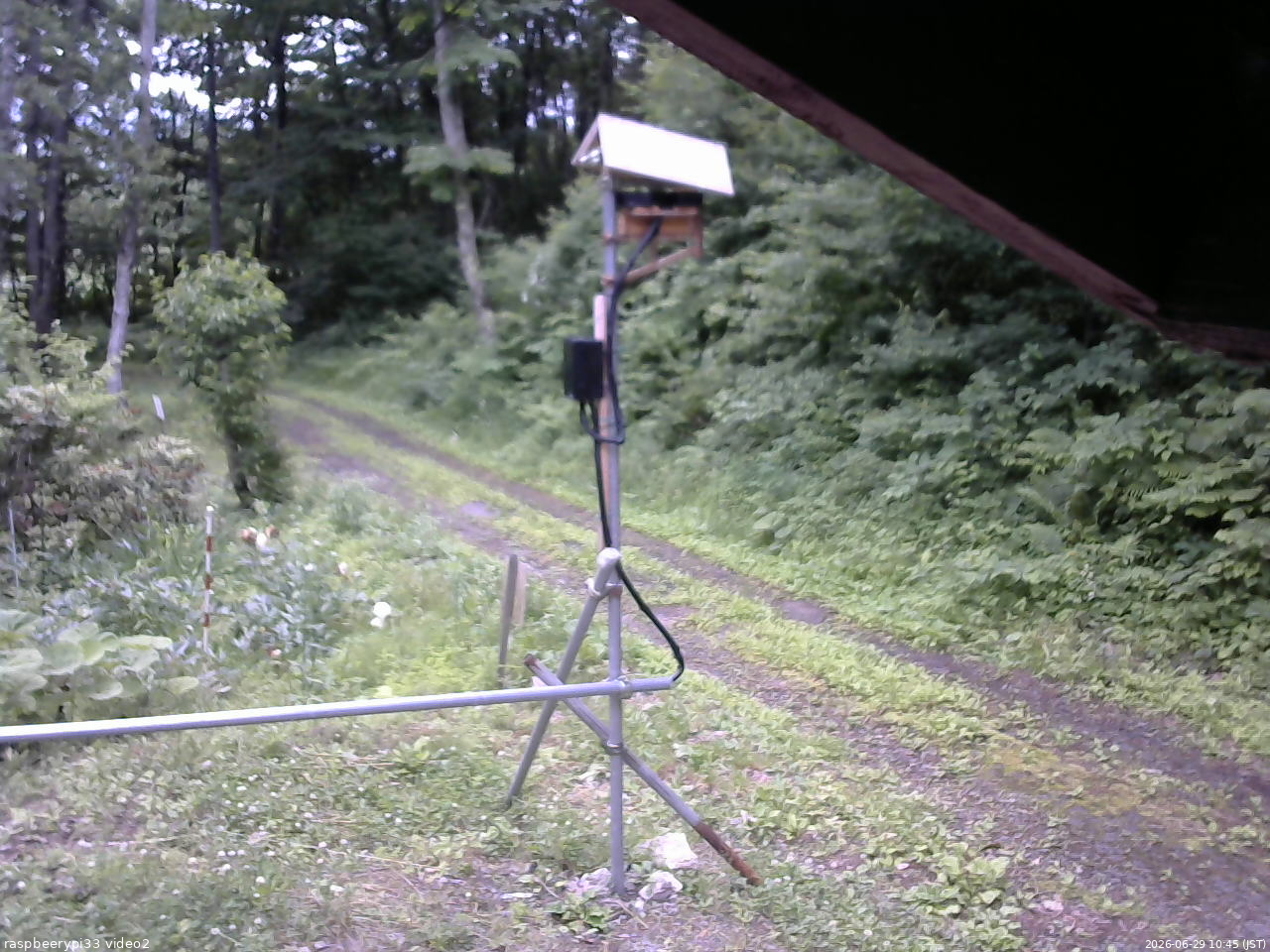 長野県菅平高原 ゆたか山荘 南側 2026/06/29 10:45