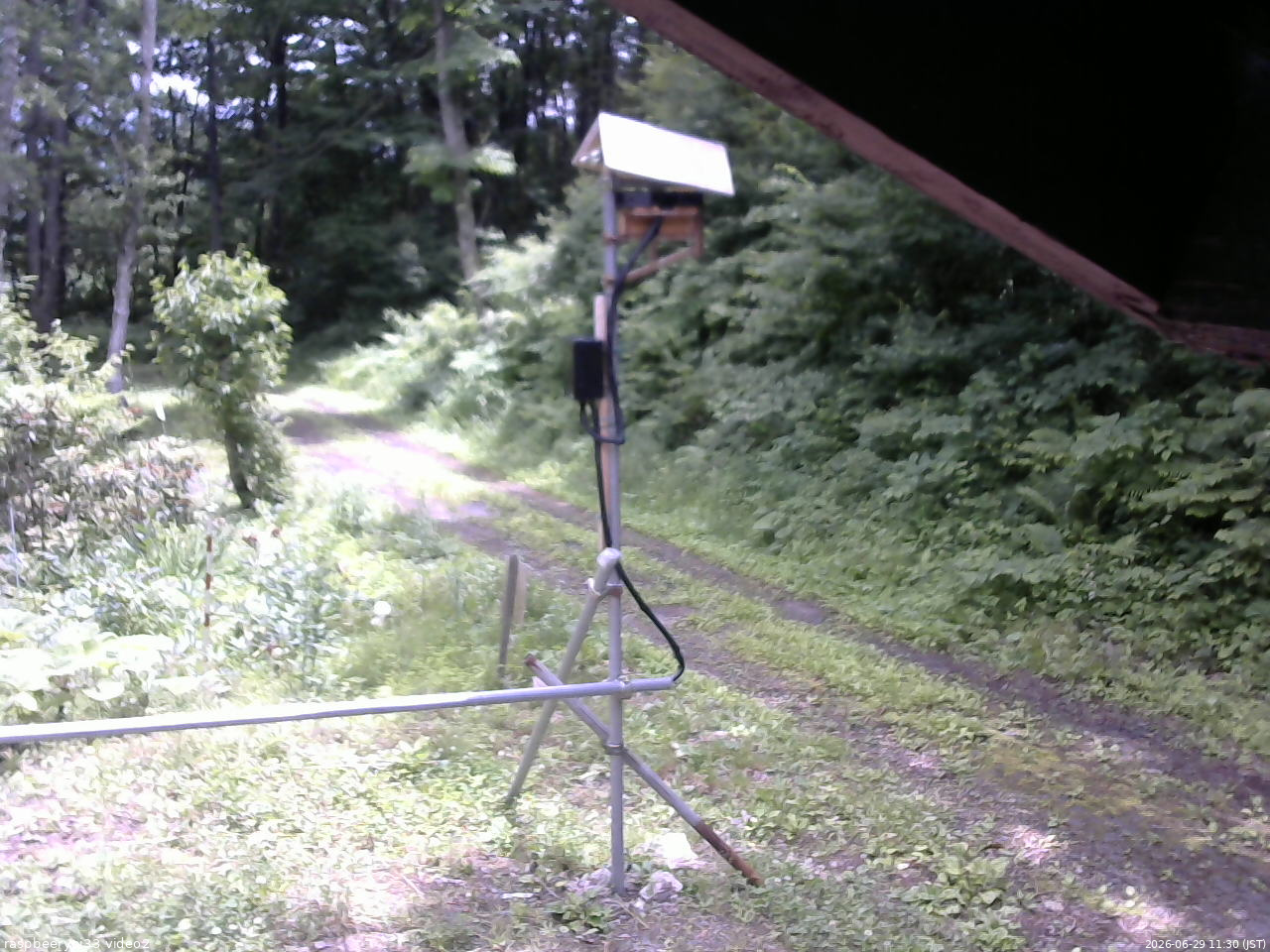 長野県菅平高原 ゆたか山荘 南側 2026/06/29 11:30