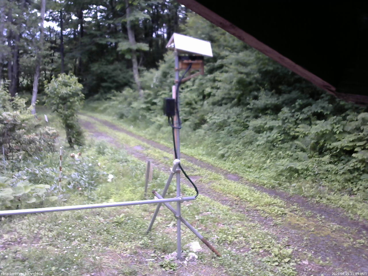 長野県菅平高原 ゆたか山荘 南側 2026/06/29 11:45