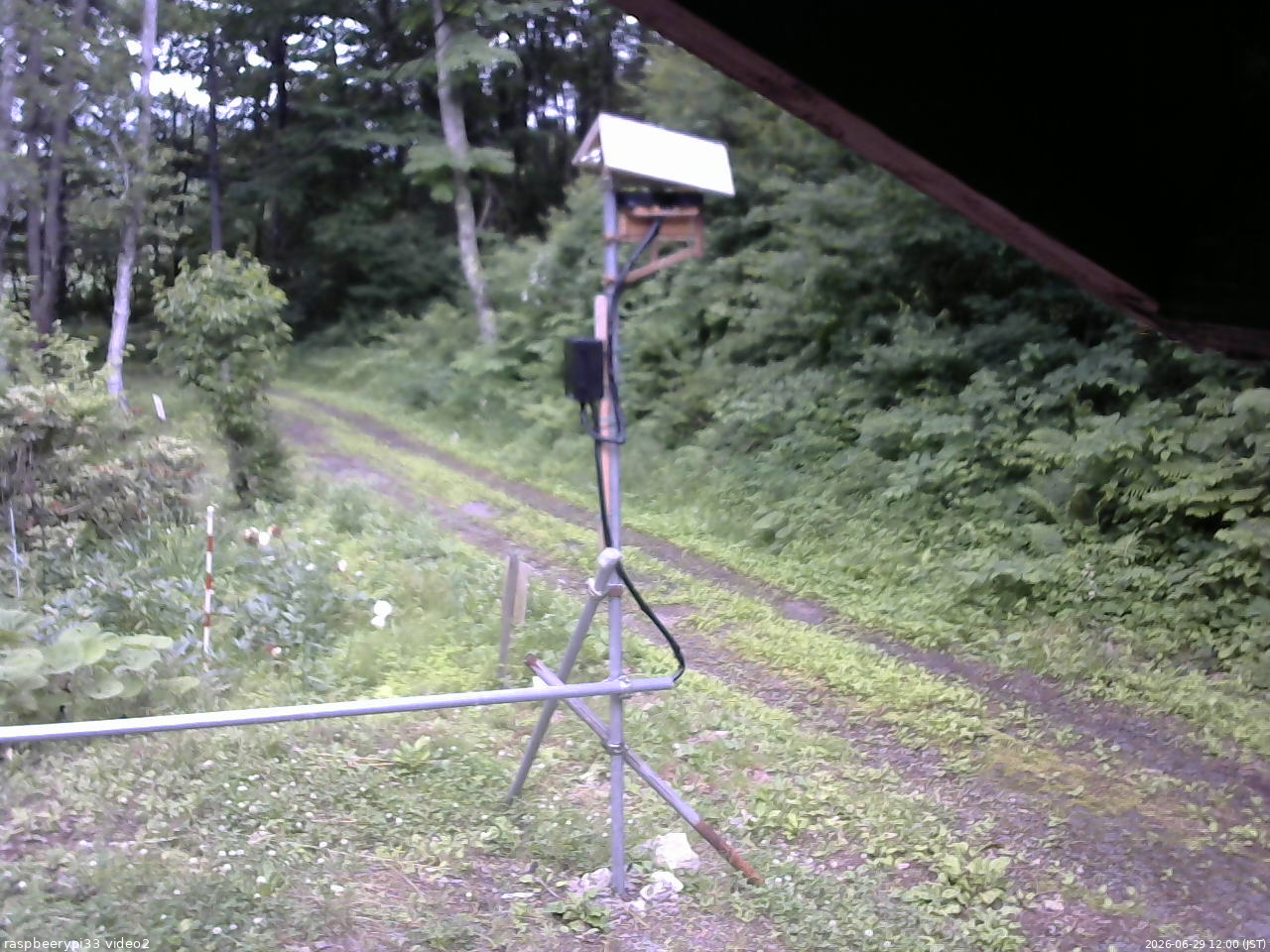 長野県菅平高原 ゆたか山荘 南側 2026/06/29 12:00