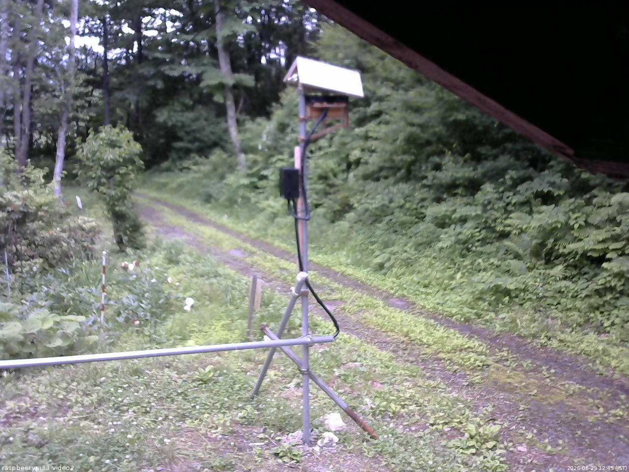 長野県菅平高原 ゆたか山荘 南側 2026/06/29 12:45