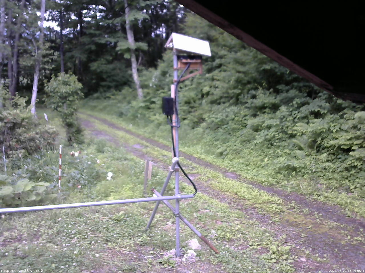長野県菅平高原 ゆたか山荘 南側 2026/06/29 13:15