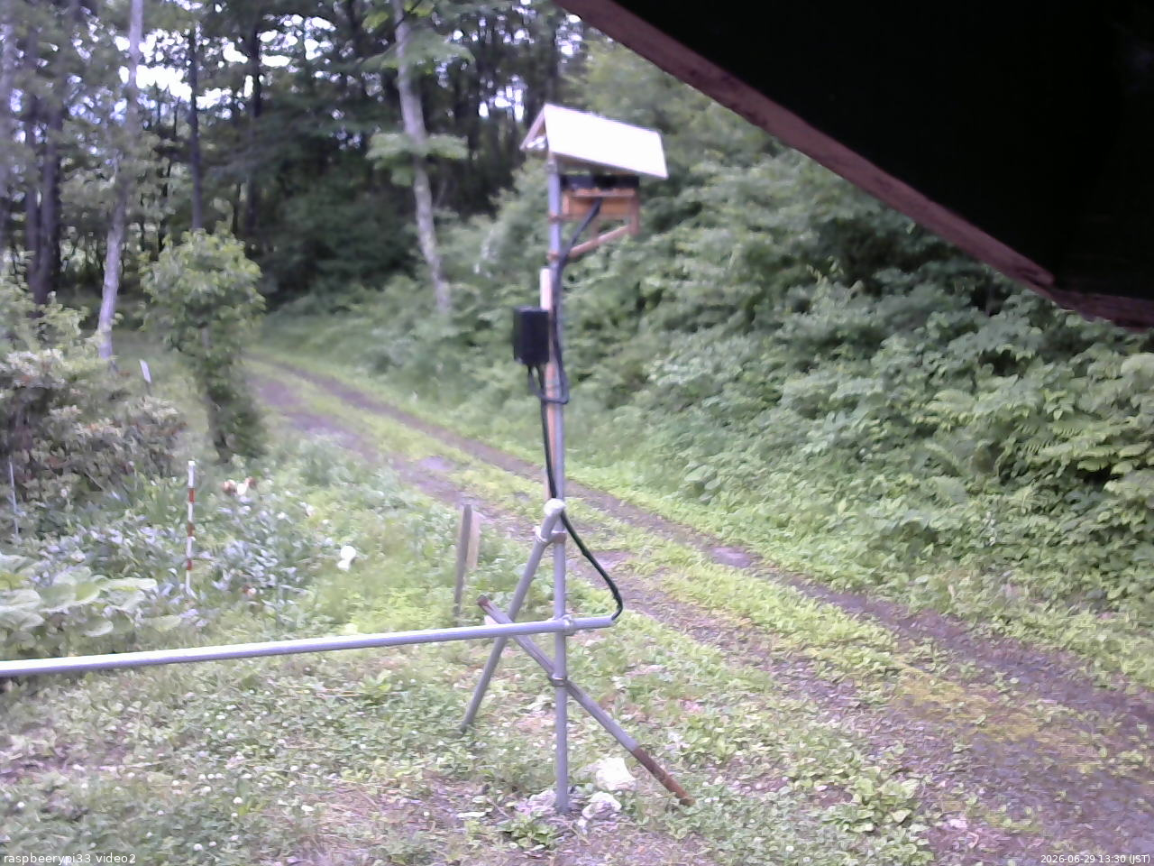 長野県菅平高原 ゆたか山荘 南側 2026/06/29 13:30