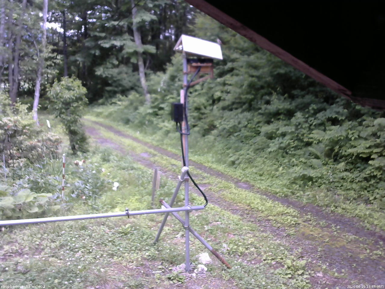長野県菅平高原 ゆたか山荘 南側 2026/06/29 13:45