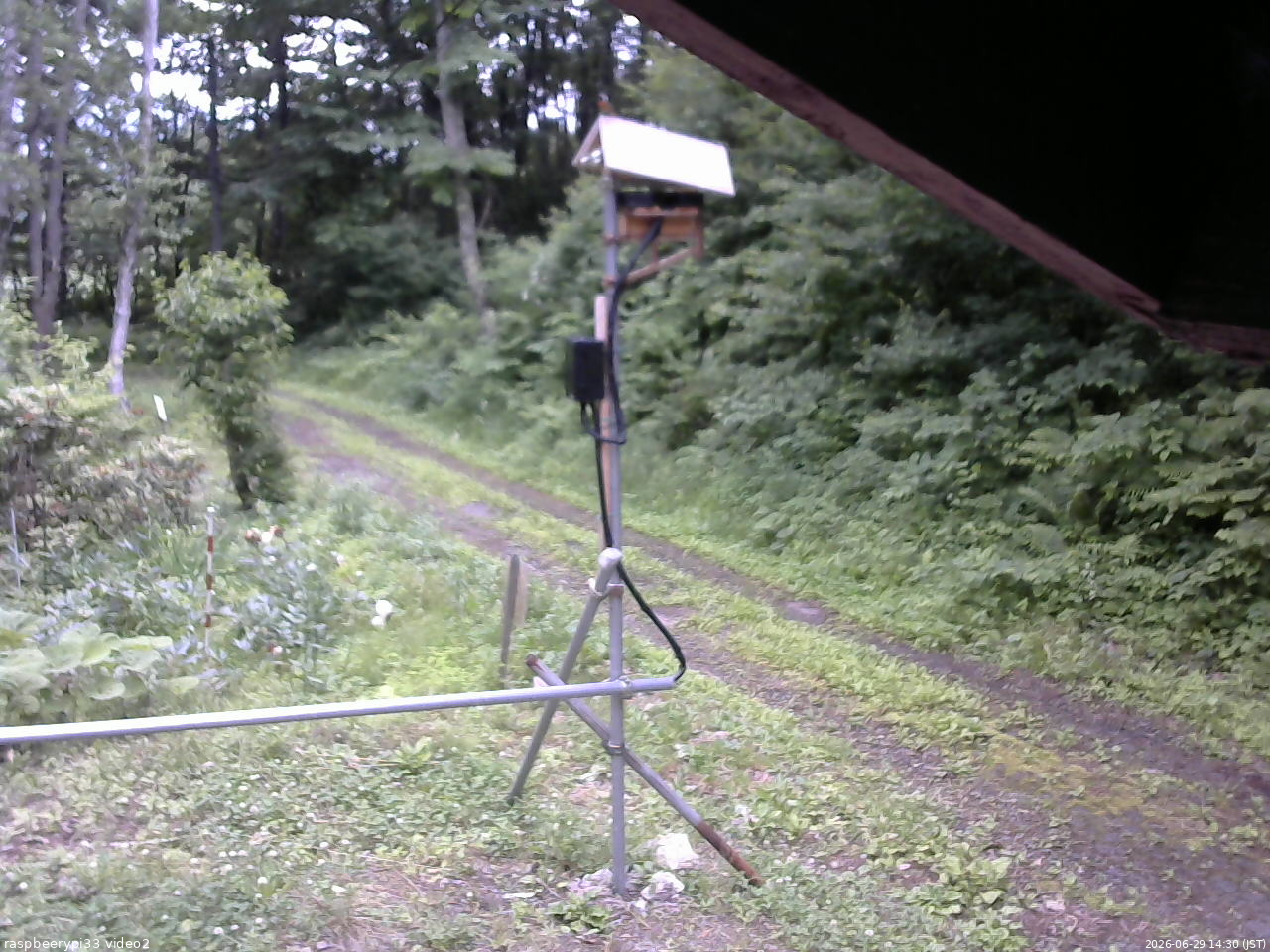 長野県菅平高原 ゆたか山荘 南側 2026/06/29 14:30