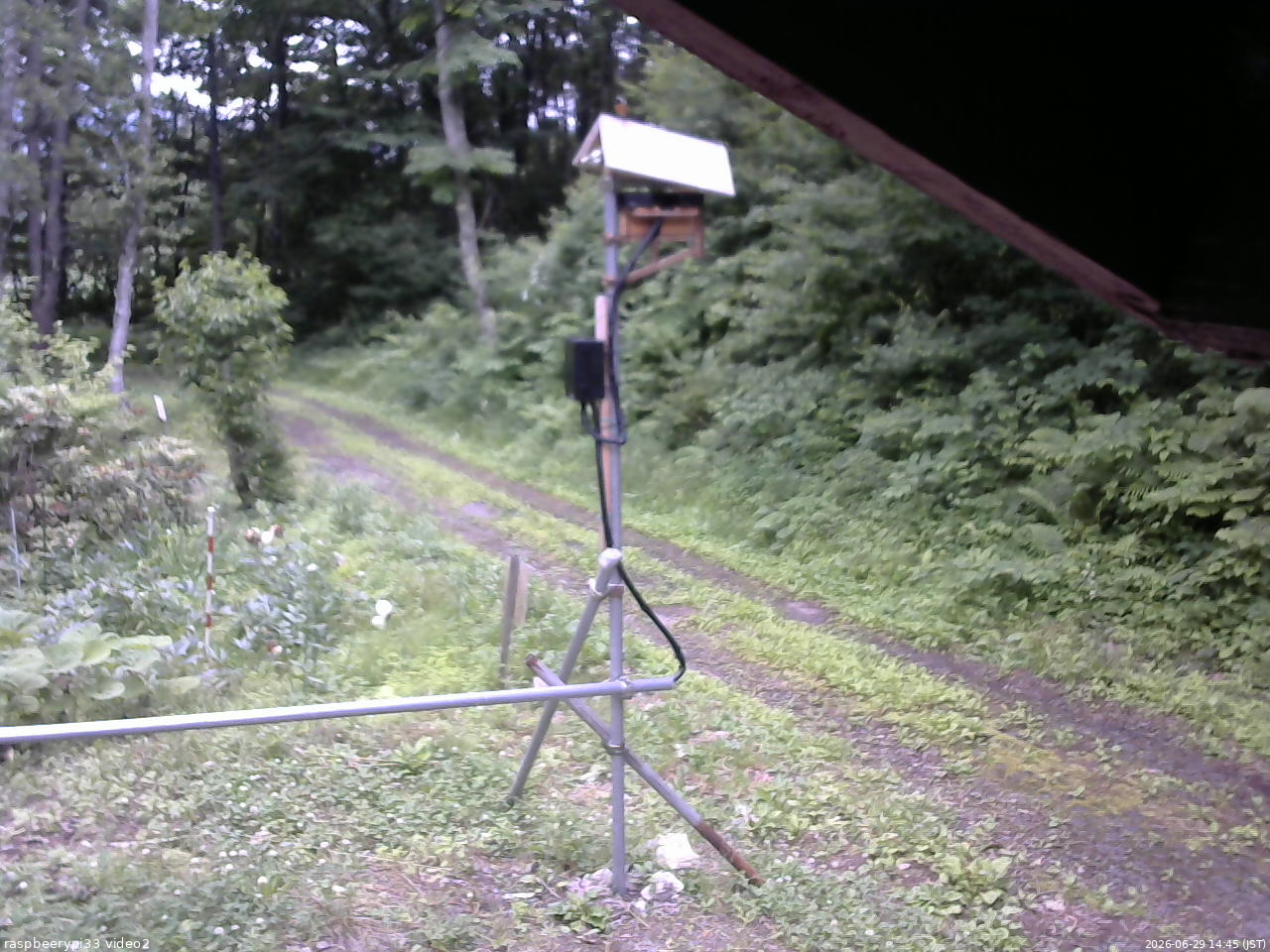 長野県菅平高原 ゆたか山荘 南側 2026/06/29 14:45
