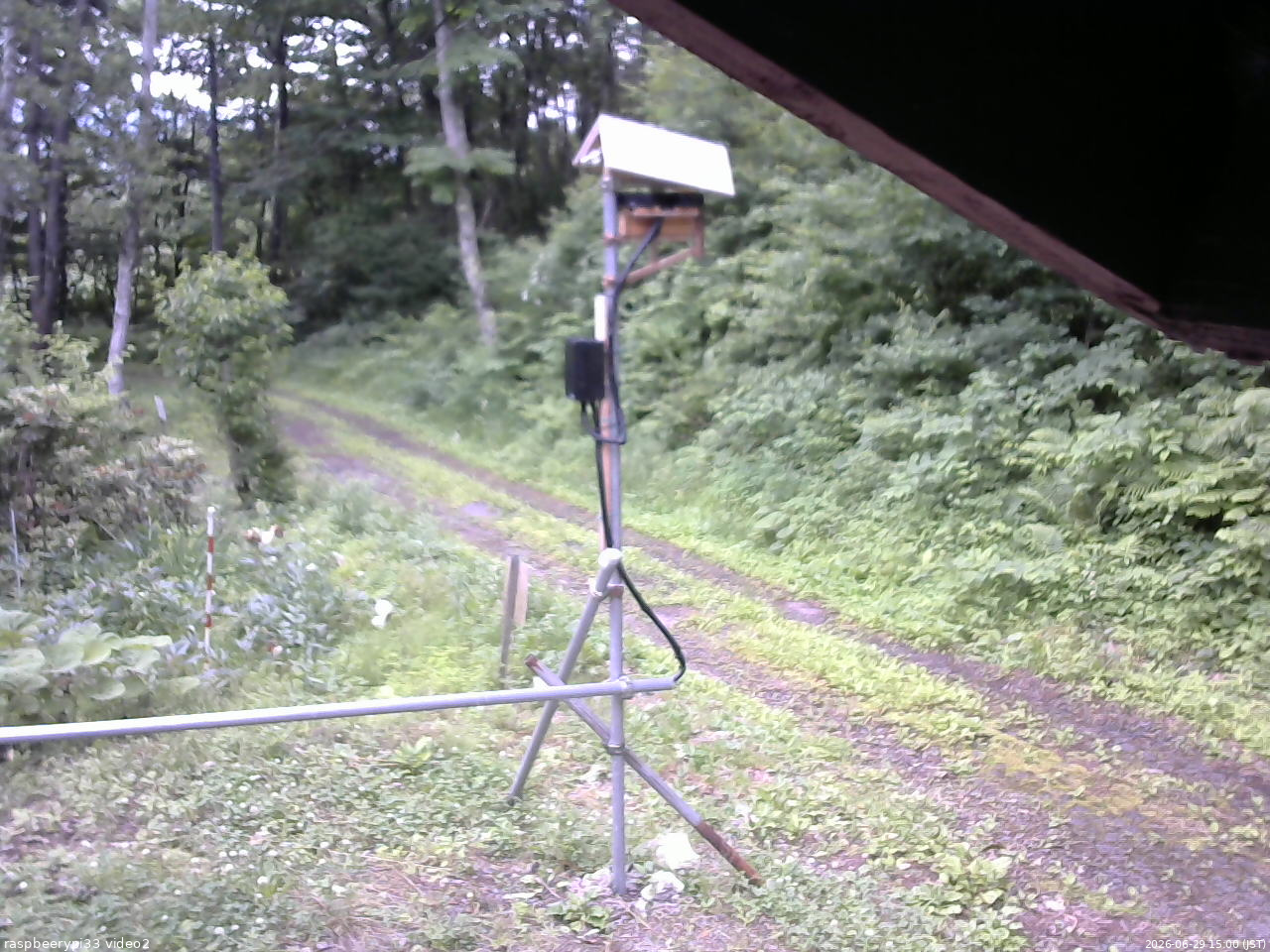 長野県菅平高原 ゆたか山荘 南側 2026/06/29 15:00