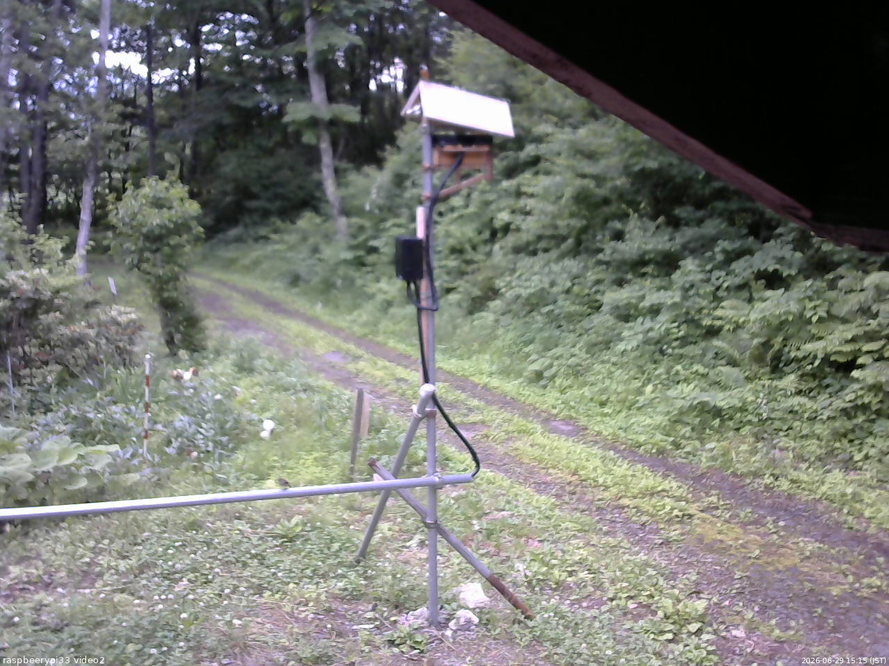 長野県菅平高原 ゆたか山荘 南側 2026/06/29 15:15