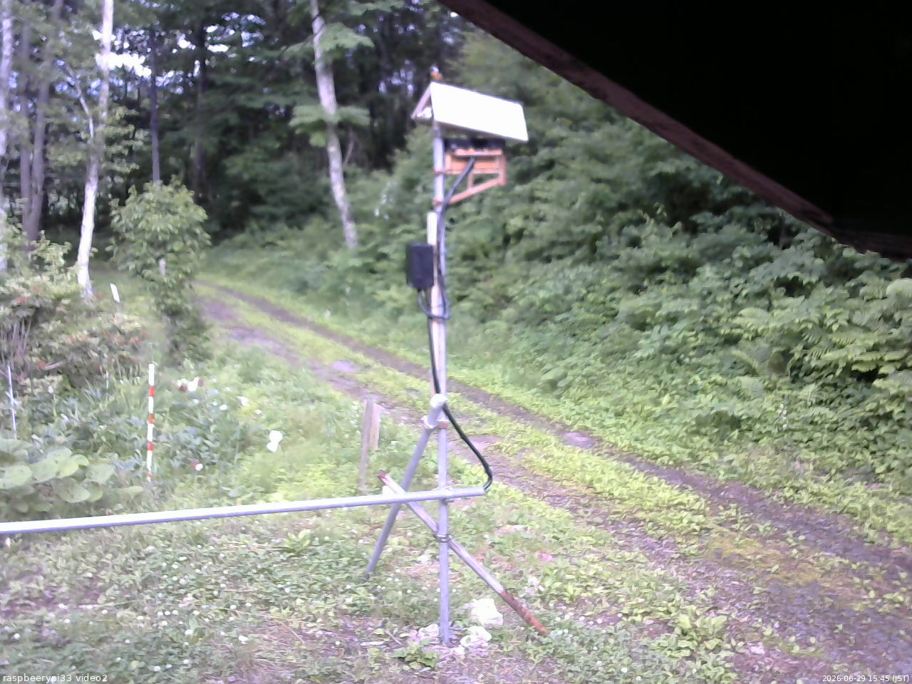 長野県菅平高原 ゆたか山荘 南側 2026/06/29 15:45