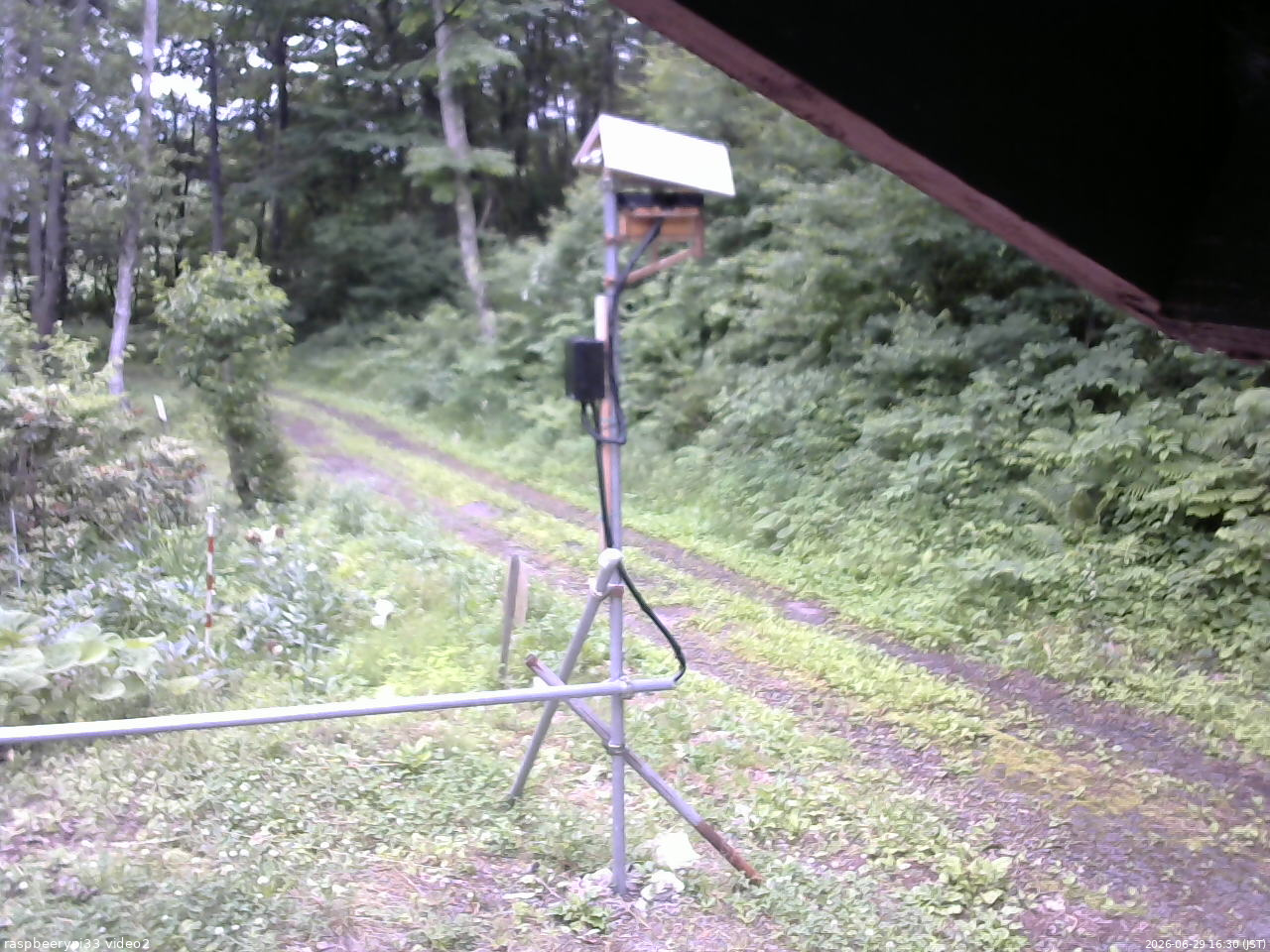 長野県菅平高原 ゆたか山荘 南側 2026/06/29 16:30