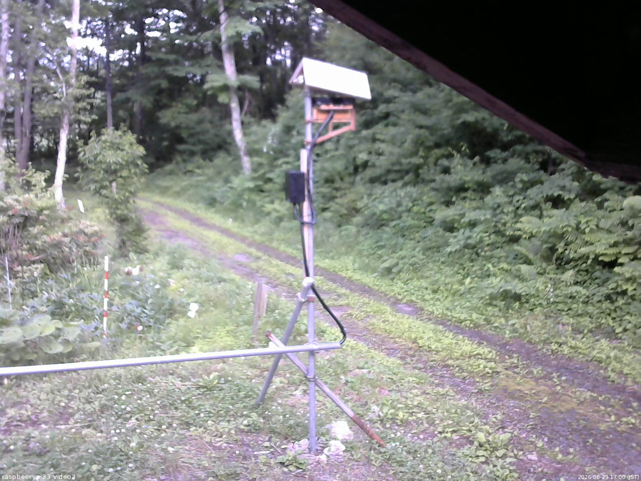長野県菅平高原 ゆたか山荘 南側 2026/06/29 17:00