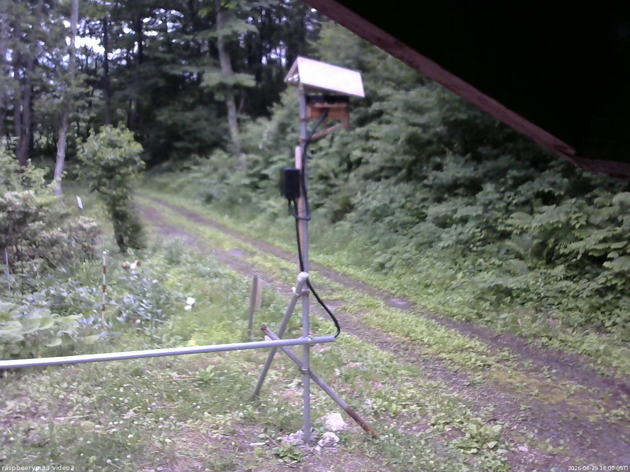 長野県菅平高原 ゆたか山荘 南側 2026/06/29 18:00