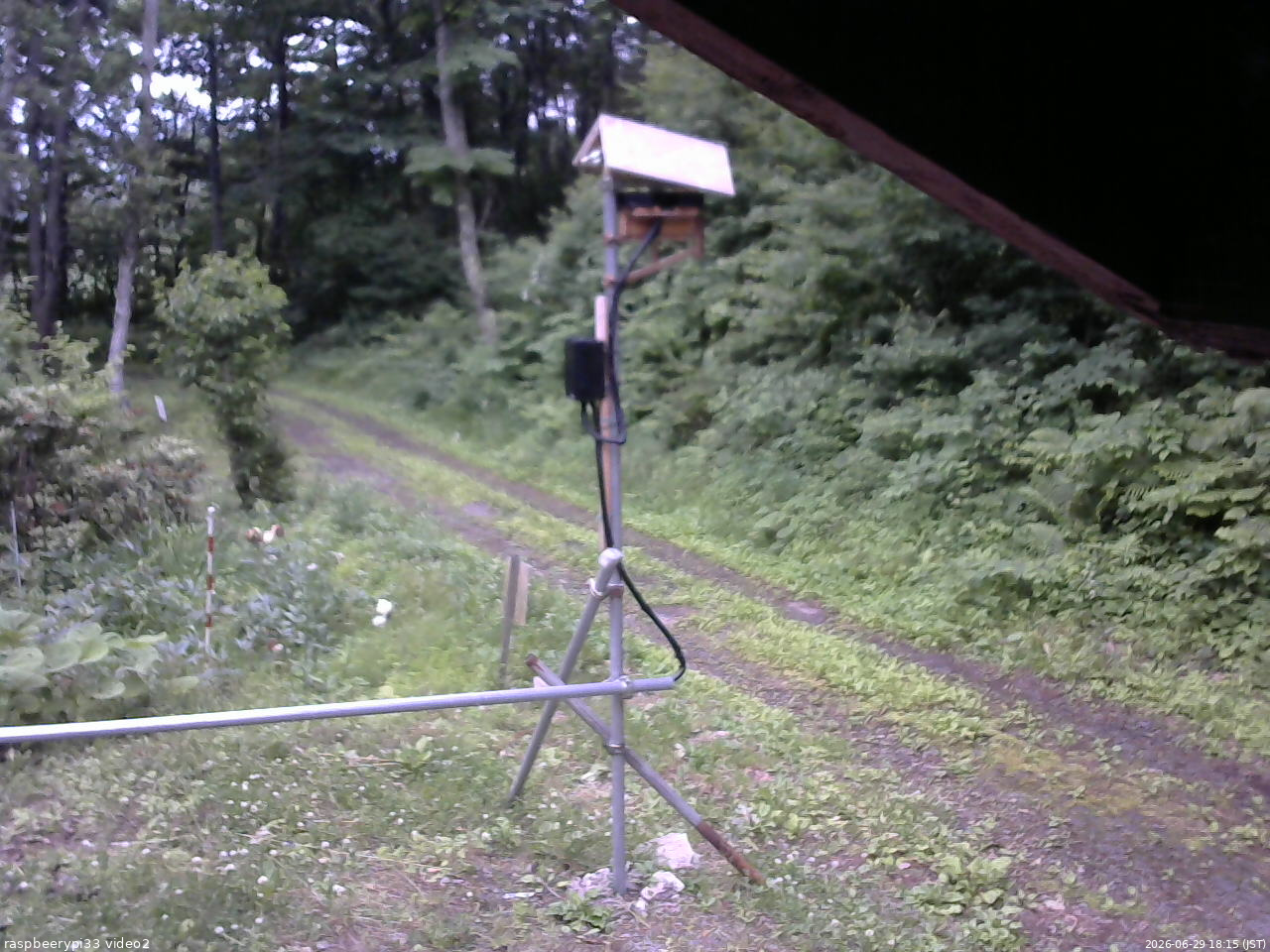 長野県菅平高原 ゆたか山荘 南側 2026/06/29 18:15
