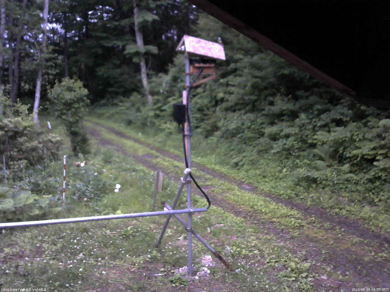 長野県菅平高原 ゆたか山荘 南側 2026/06/29 18:30