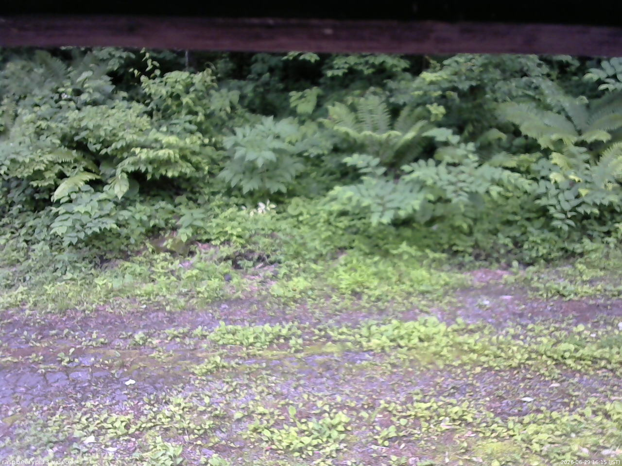 長野県菅平高原 ゆたか山荘 東側(坂下) 2026/06/29 16:15