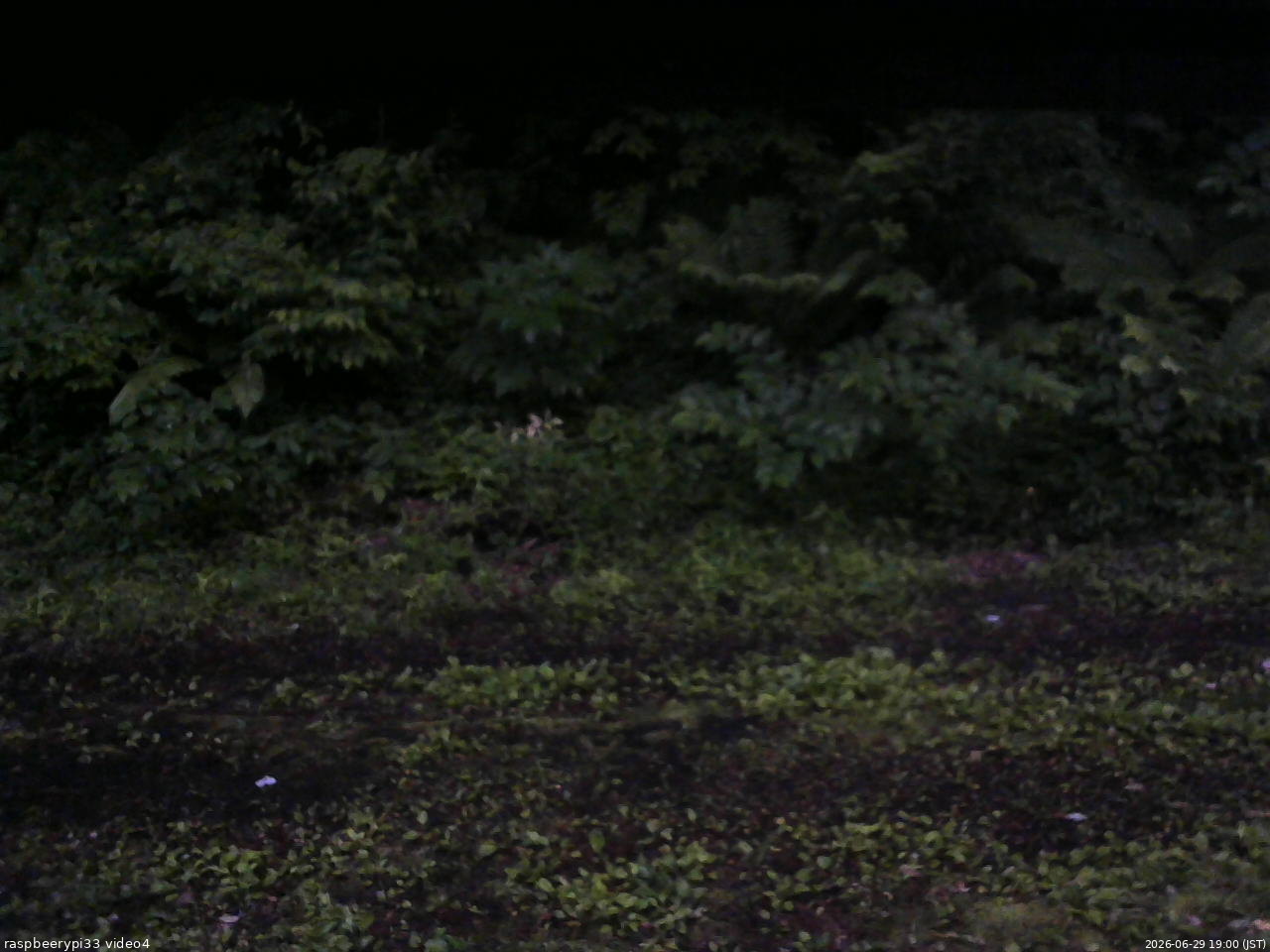 長野県菅平高原 ゆたか山荘 東側(坂下) 2026/06/29 19:00