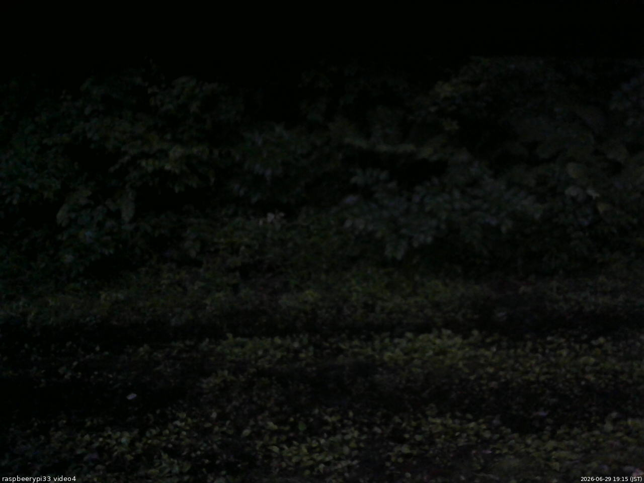 長野県菅平高原 ゆたか山荘 東側(坂下) 2026/06/29 19:15