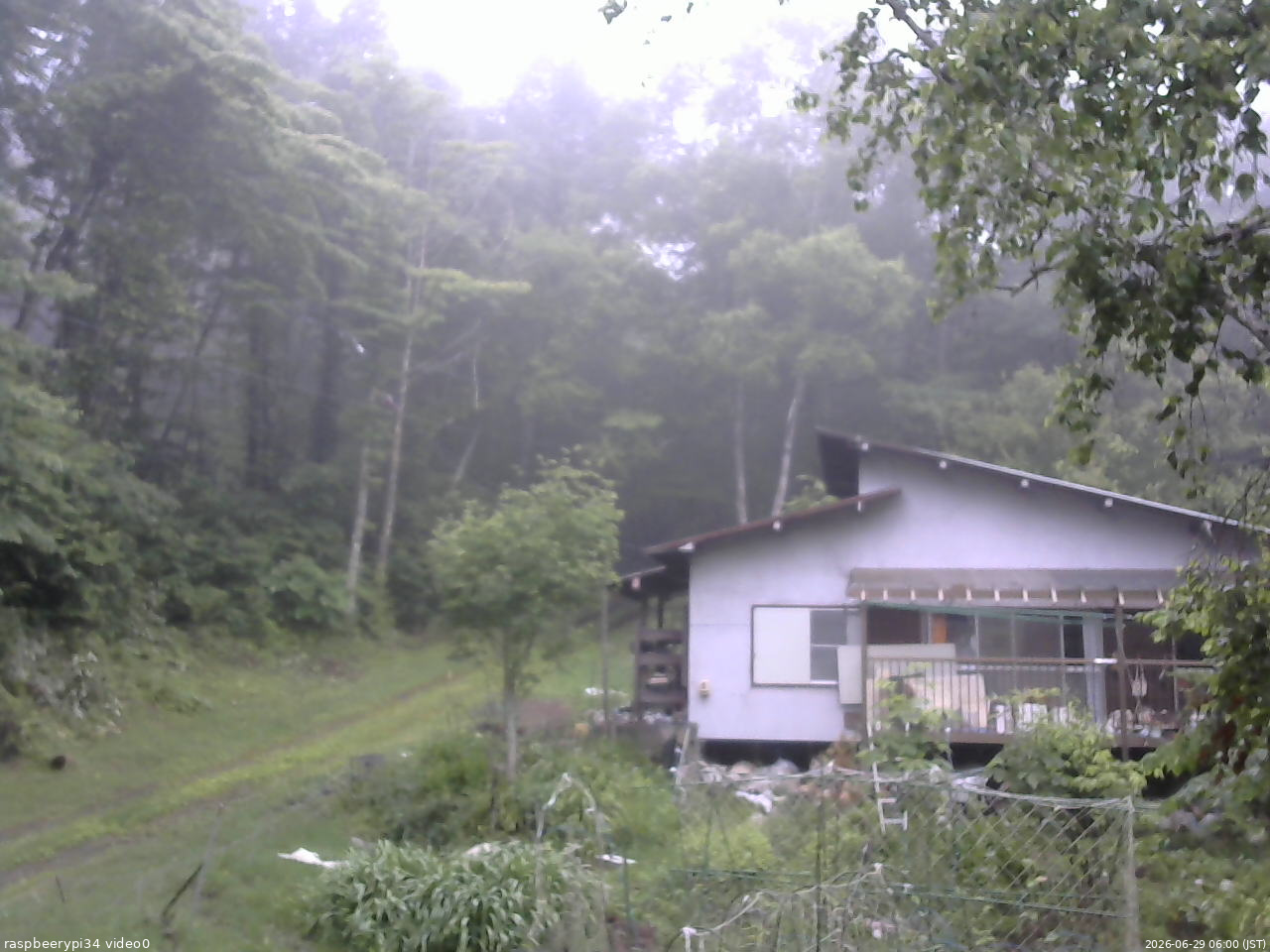 長野県菅平高原 ゆたか山荘 西側(坂上) 2026/06/29 06:00