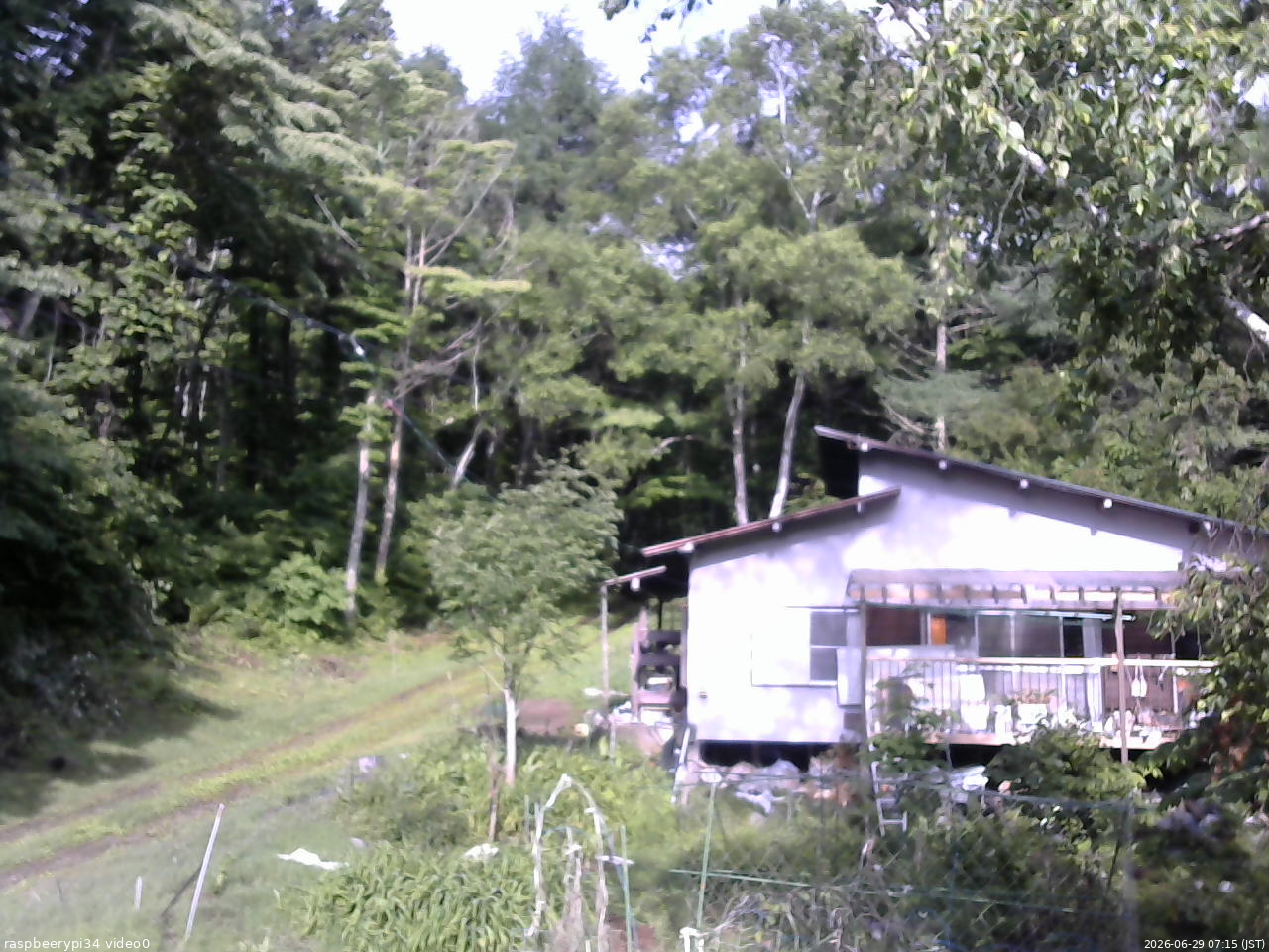長野県菅平高原 ゆたか山荘 西側(坂上) 2026/06/29 07:15