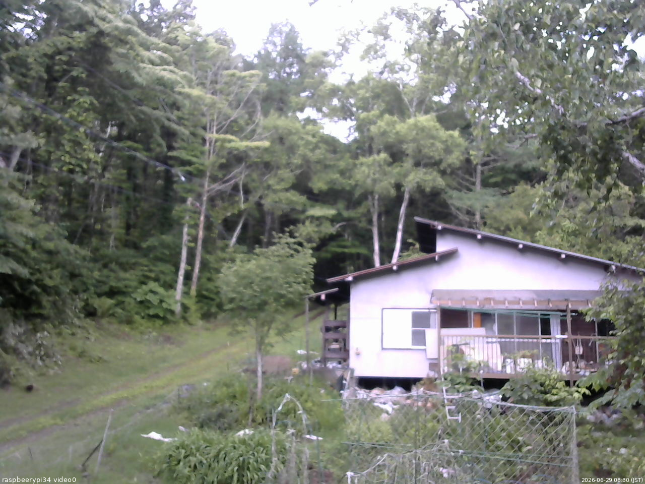 長野県菅平高原 ゆたか山荘 西側(坂上) 2026/06/29 08:30