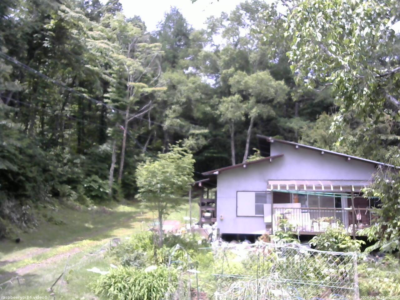 長野県菅平高原 ゆたか山荘 西側(坂上) 2026/06/29 11:00