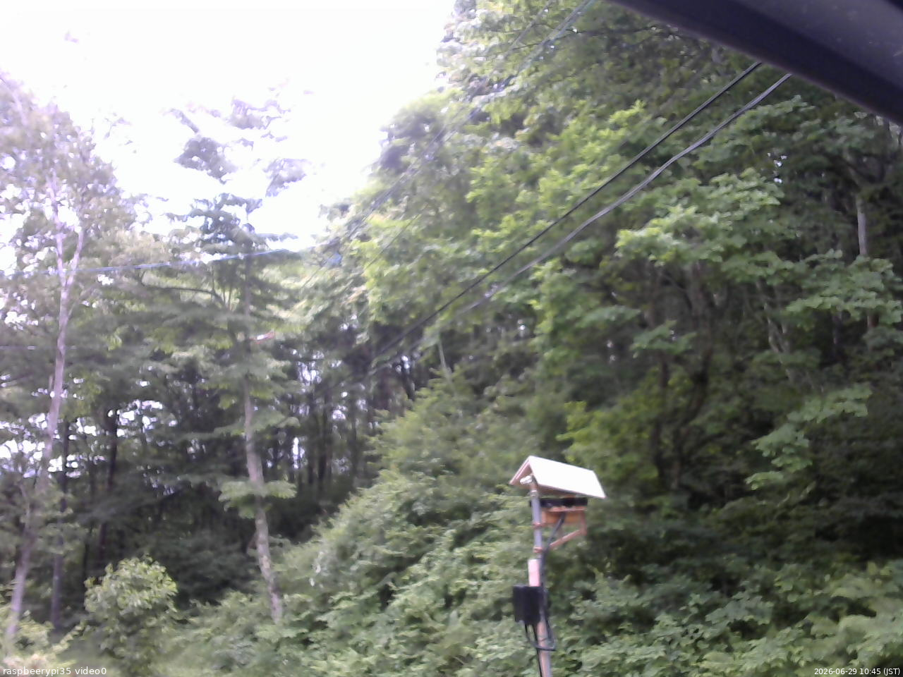 長野県菅平高原 ゆたか山荘 温度計 2026/06/29 10:45