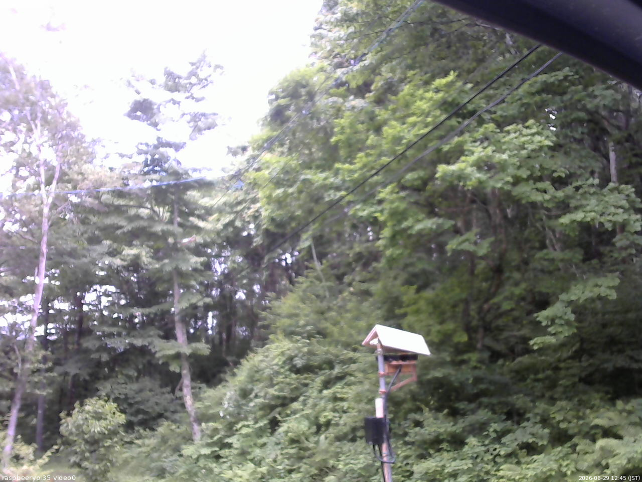 長野県菅平高原 ゆたか山荘 温度計 2026/06/29 12:45