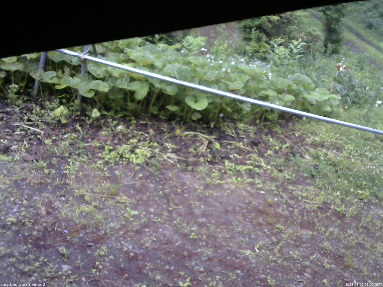 長野県菅平高原 ゆたか山荘 駐車場 2026/06/29 06:00