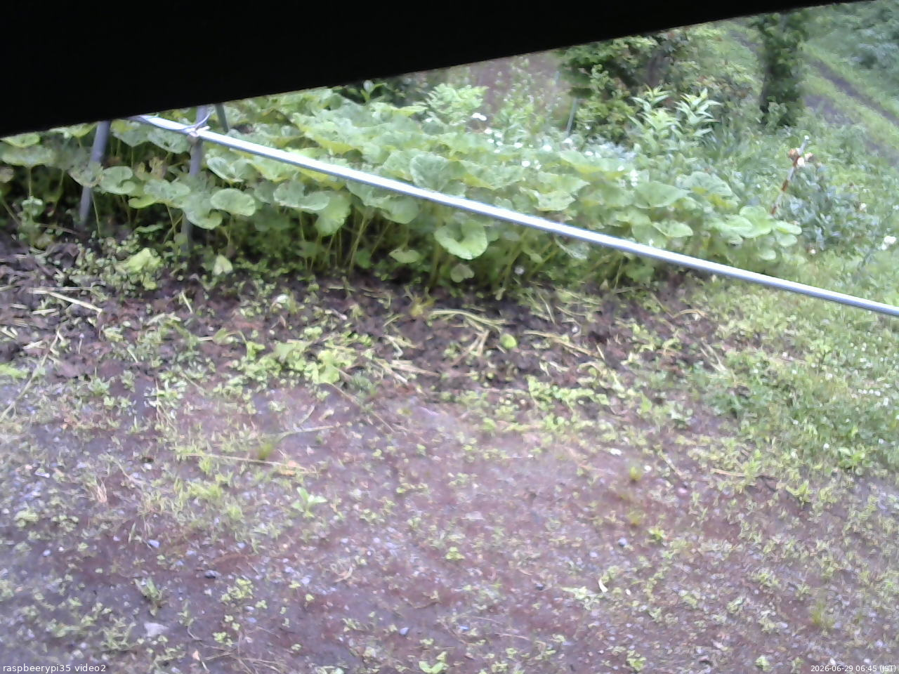 長野県菅平高原 ゆたか山荘 駐車場 2026/06/29 06:45