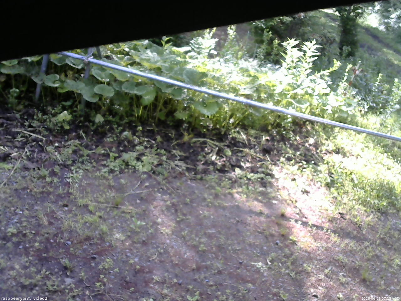 長野県菅平高原 ゆたか山荘 駐車場 2026/06/29 07:15