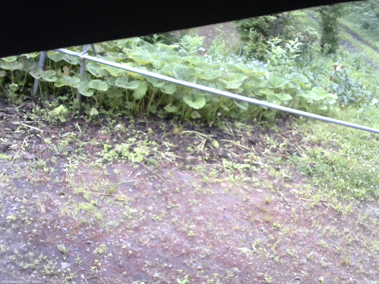 長野県菅平高原 ゆたか山荘 駐車場 2026/06/29 07:30