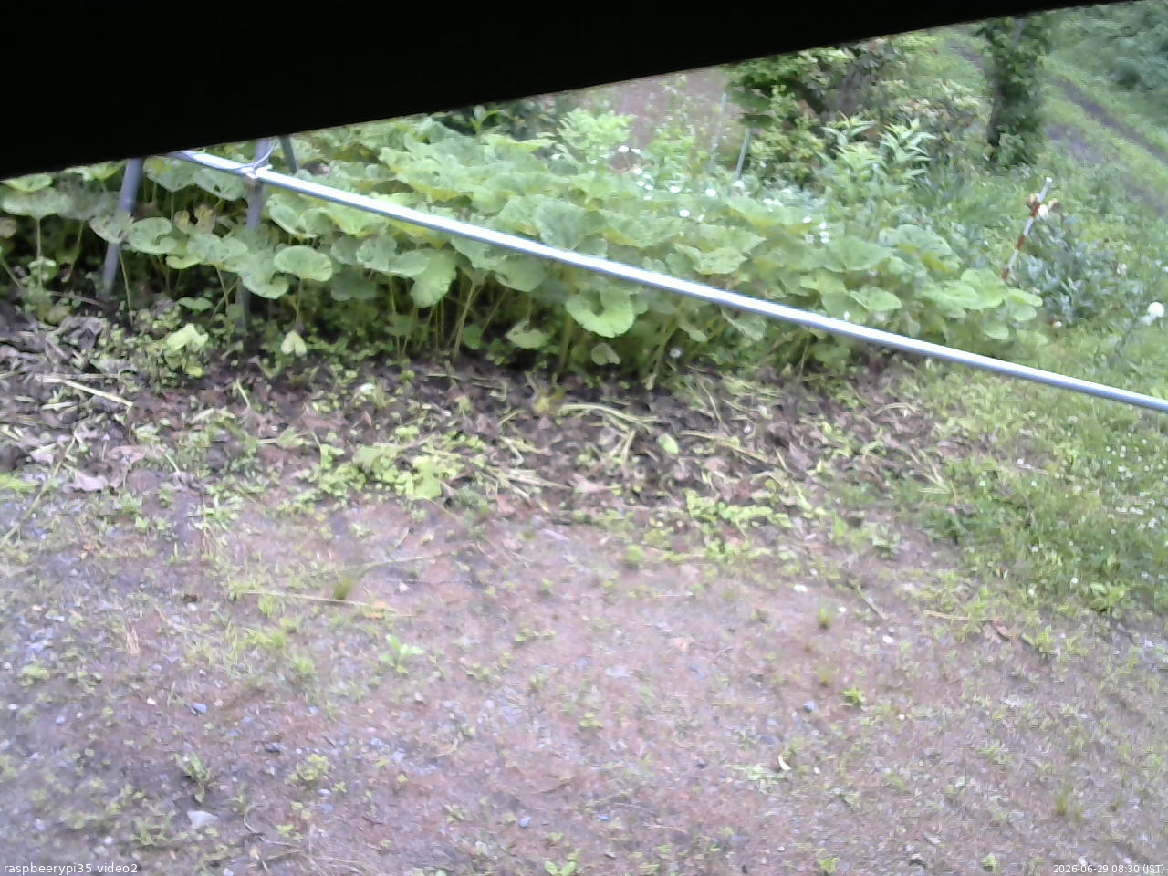 長野県菅平高原 ゆたか山荘 駐車場 2026/06/29 08:30