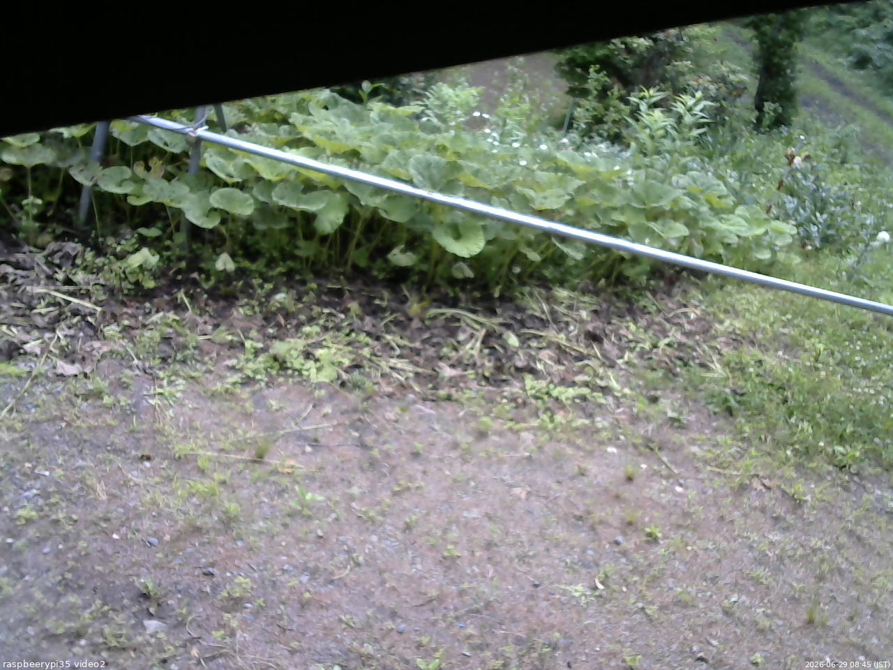 長野県菅平高原 ゆたか山荘 駐車場 2026/06/29 08:45