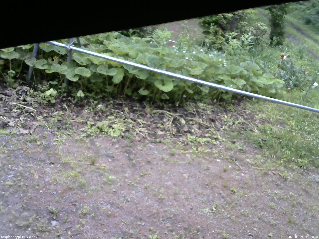 長野県菅平高原 ゆたか山荘 駐車場 2026/06/29 09:00