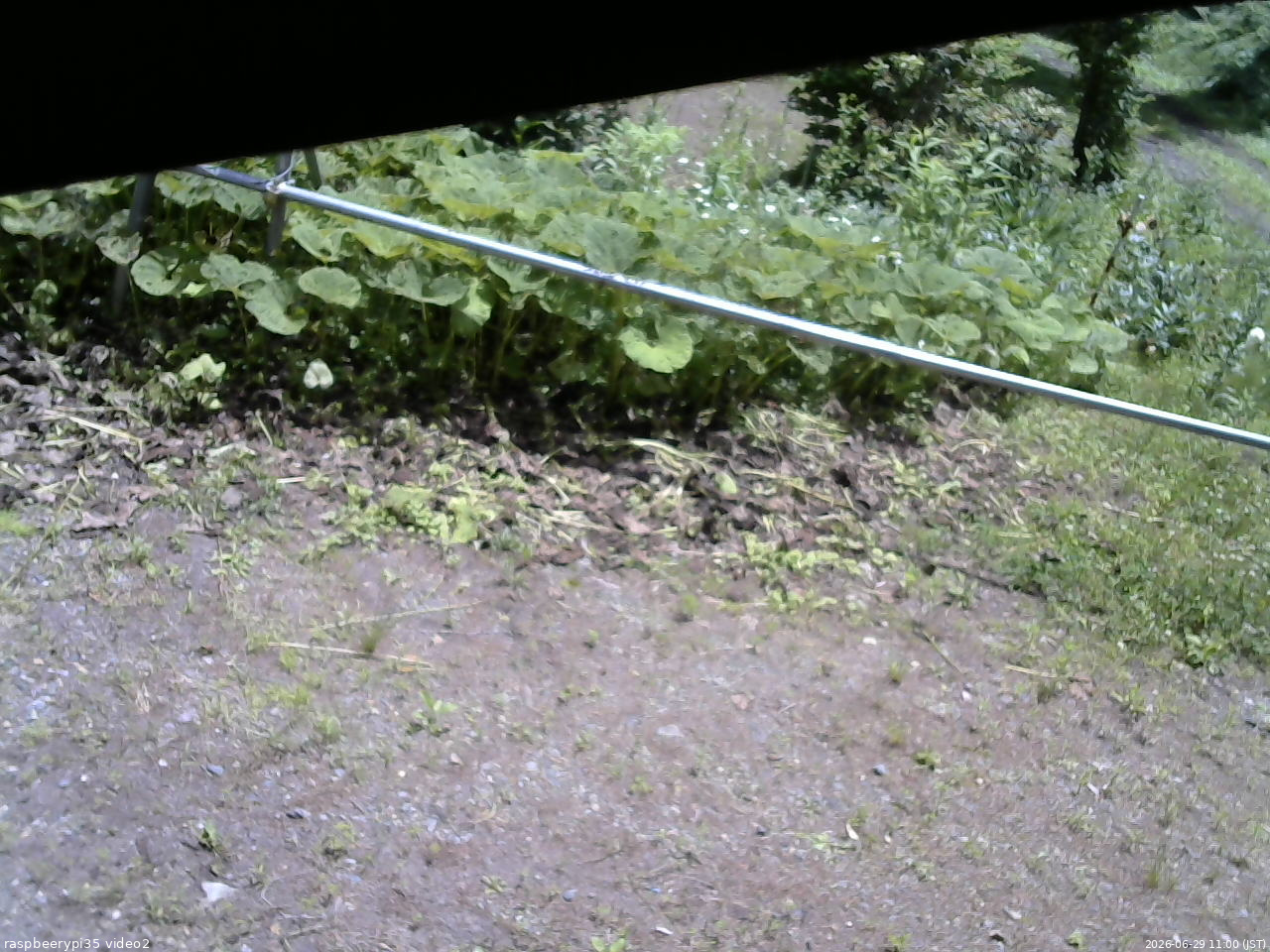 長野県菅平高原 ゆたか山荘 駐車場 2026/06/29 11:00