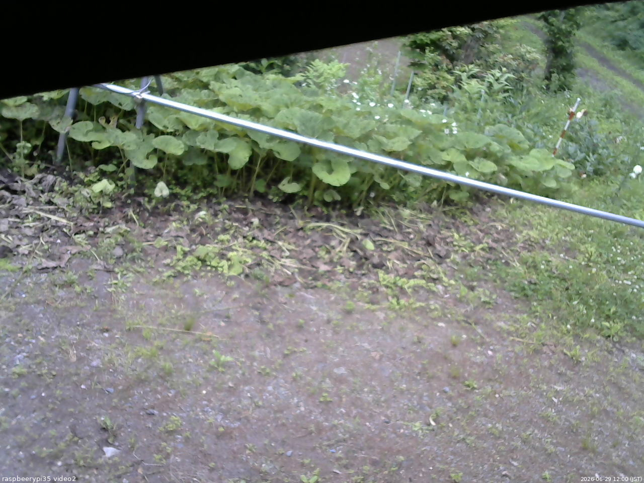 長野県菅平高原 ゆたか山荘 駐車場 2026/06/29 12:00