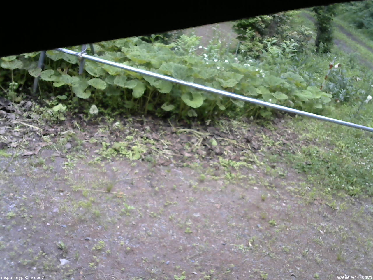 長野県菅平高原 ゆたか山荘 駐車場 2026/06/29 14:45