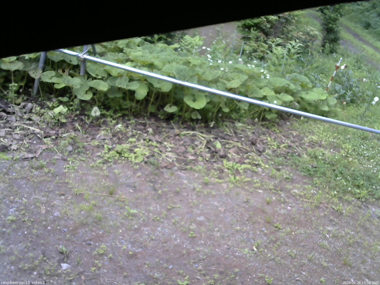 長野県菅平高原 ゆたか山荘 駐車場 2026/06/29 15:30