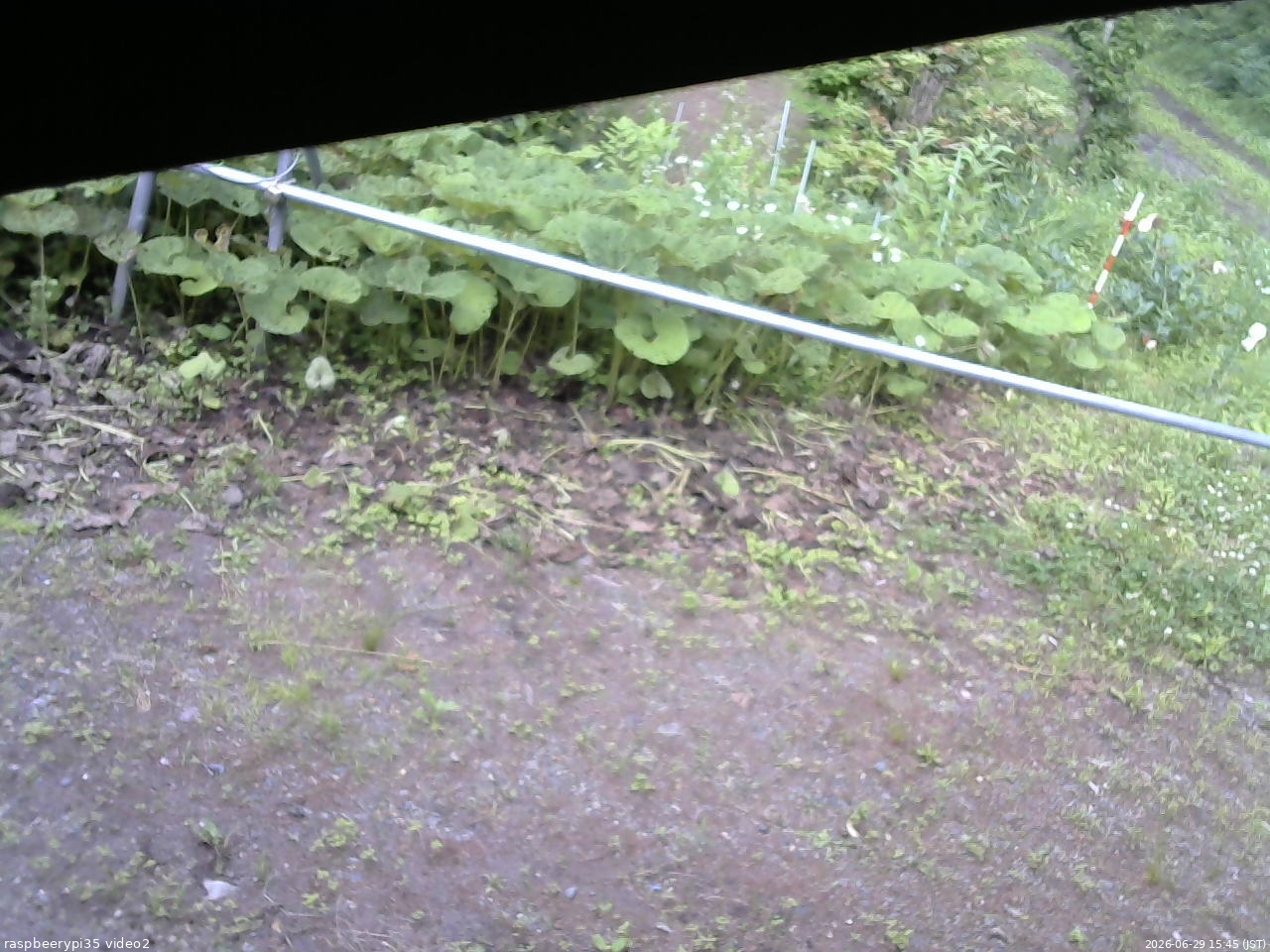 長野県菅平高原 ゆたか山荘 駐車場 2026/06/29 15:45