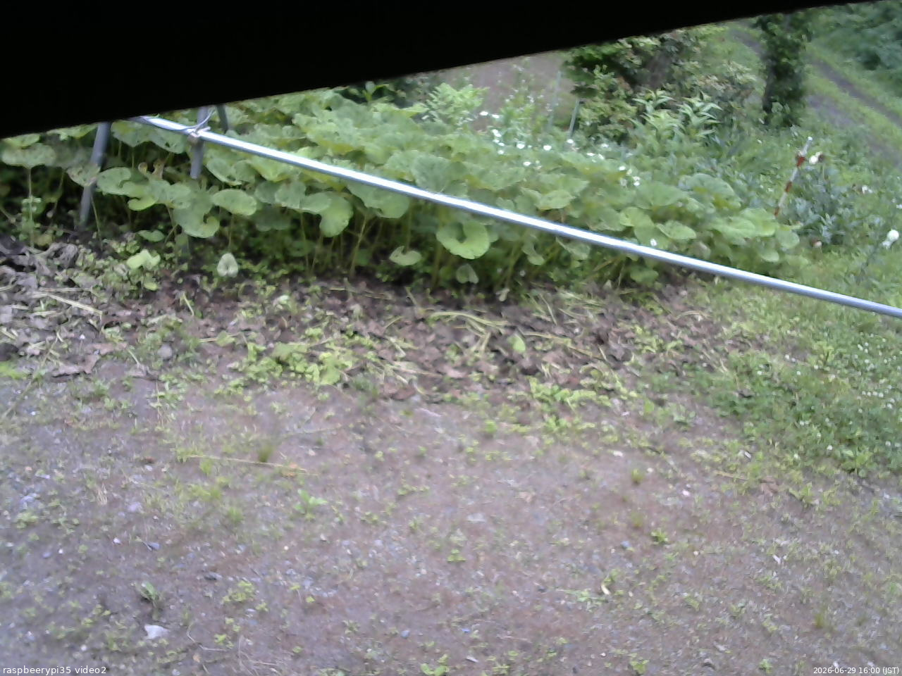長野県菅平高原 ゆたか山荘 駐車場 2026/06/29 16:00
